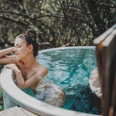 Luxgut Olivia شاليه Zmollach