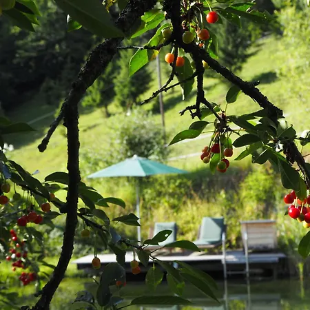 Luxgut Olivia Chalet Zmollach