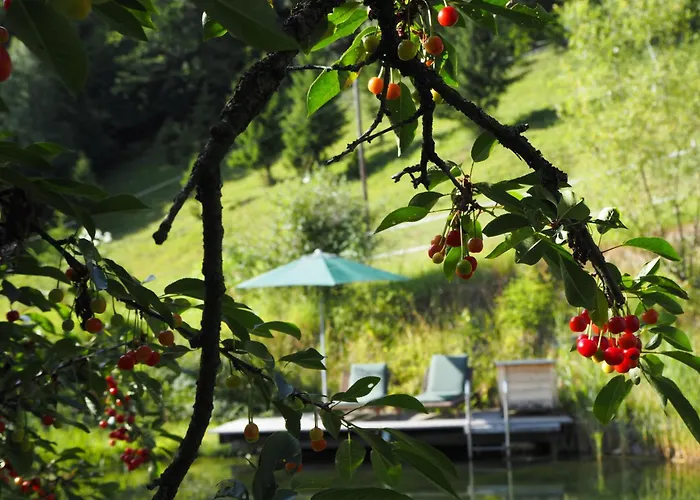 Luxgut Olivia Chalet Zmollach